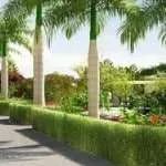 Palm Tree Boulevard