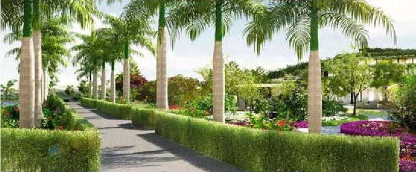 Green Haven Facility & Landscaping : Palm Tree Boulevard