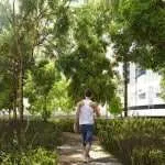 Sylvan Walk